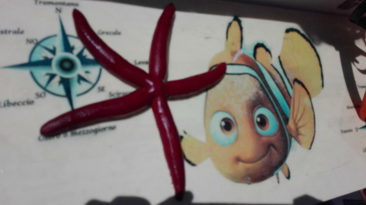 Nemo Mare Leilighet Lido di Noto Eksteriør bilde