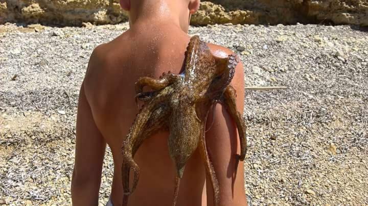 Nemo Mare Leilighet Lido di Noto Eksteriør bilde